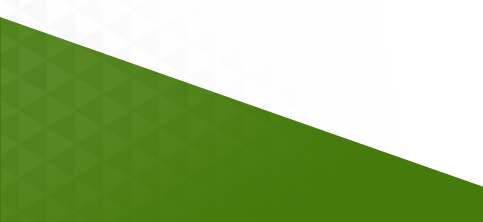 website design company